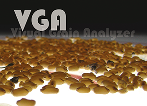 VGA Logo